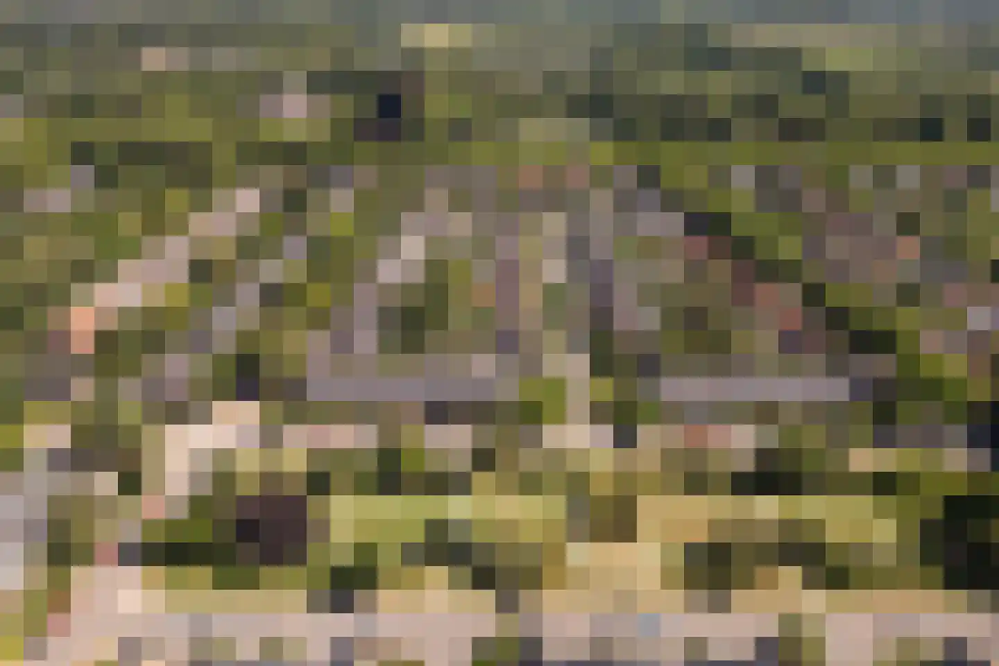 Laan van Cattenbroeck 70 Zeist thumbnail 48