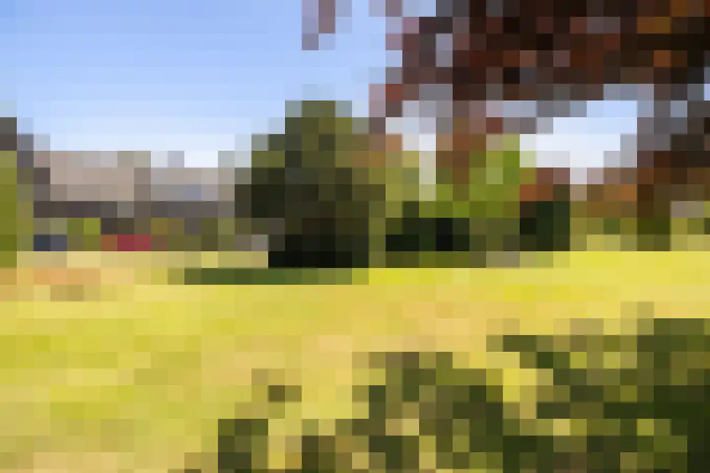 Laan van Cattenbroeck 70 Zeist thumbnail 49