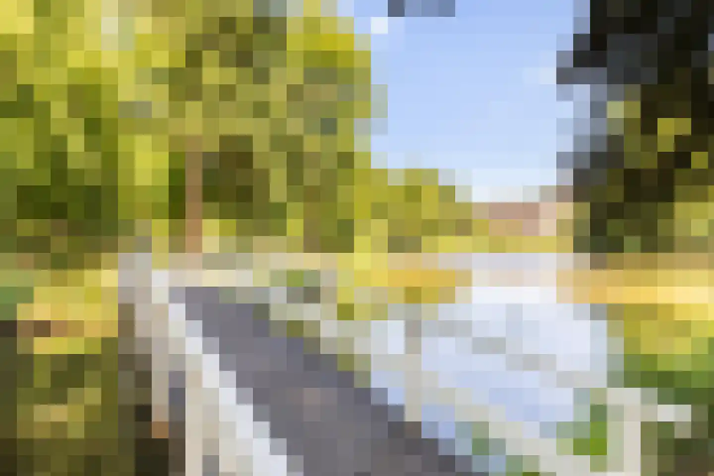 Laan van Cattenbroeck 70 Zeist thumbnail 51