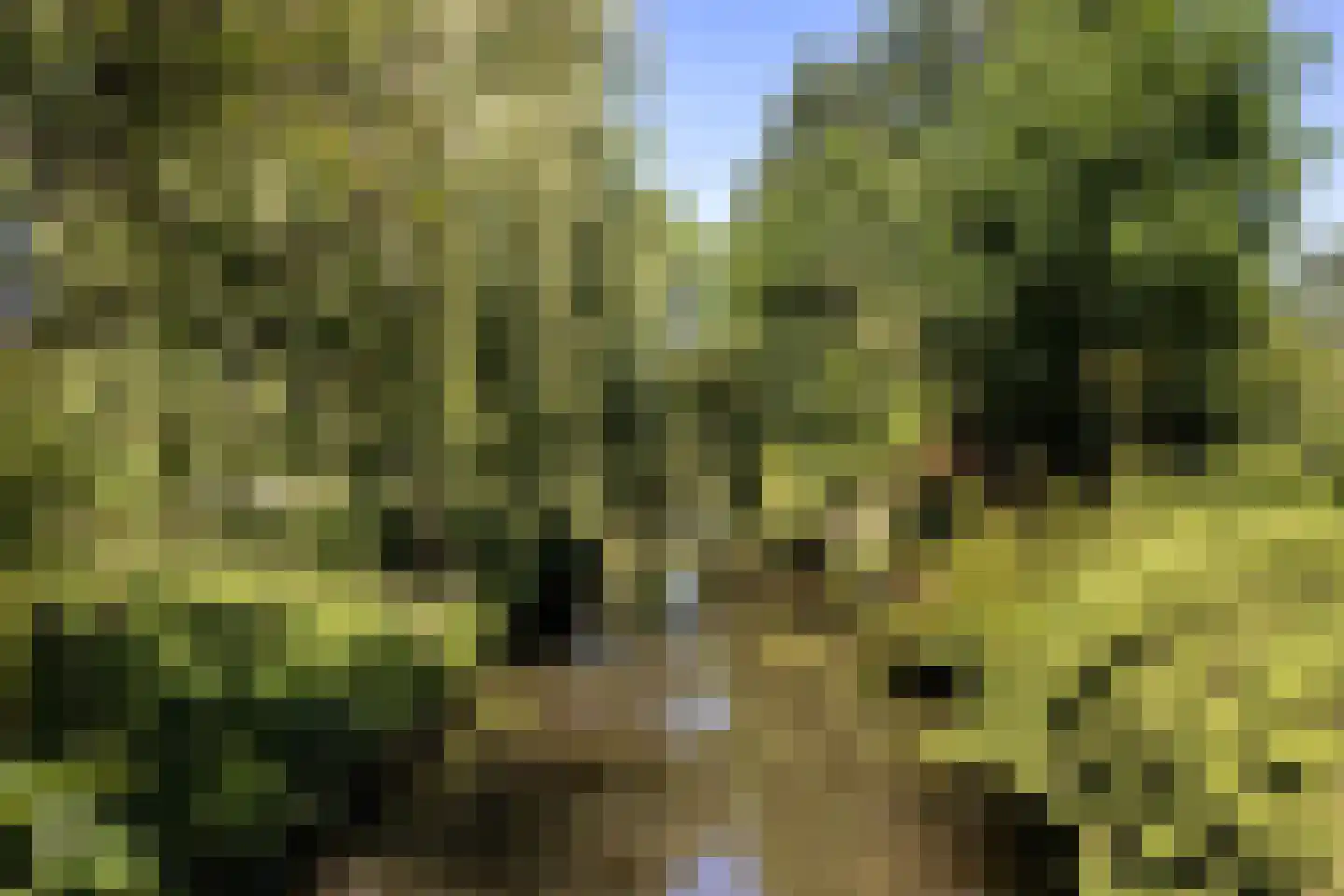 Laan van Cattenbroeck 70 Zeist thumbnail 54