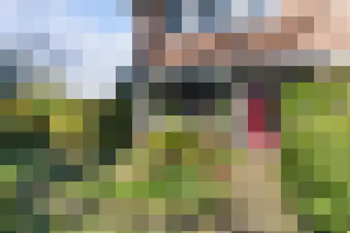 Laan van Cattenbroeck 74 Zeist thumbnail 12