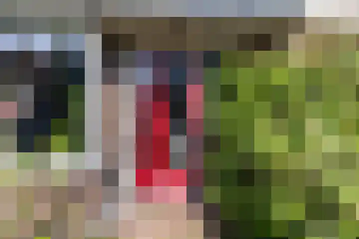 Laan van Cattenbroeck 74 Zeist thumbnail 13