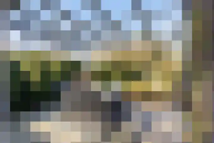 Laan van Cattenbroeck 74 Zeist thumbnail 30