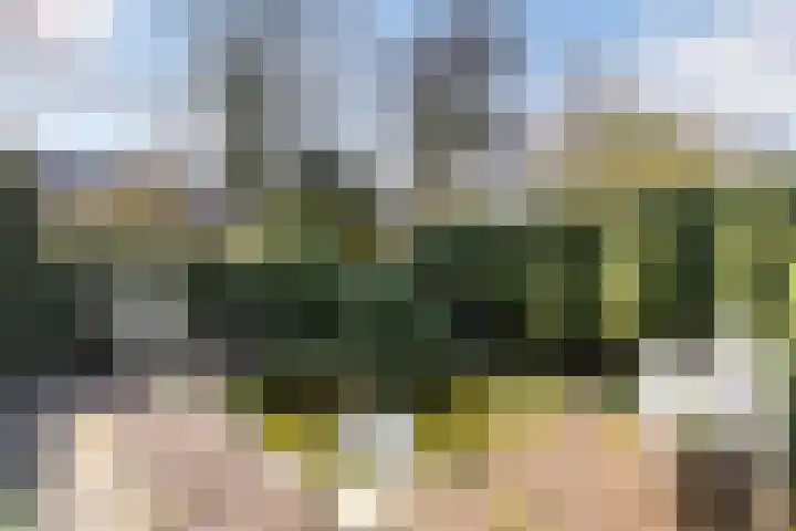 Laan van Cattenbroeck 74 Zeist thumbnail 31