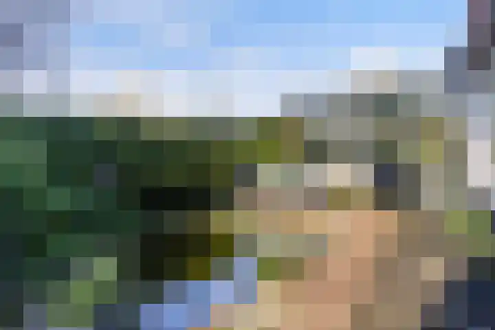 Laan van Cattenbroeck 74 Zeist thumbnail 32