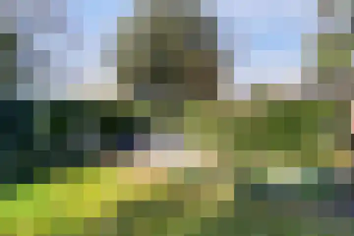 Laan van Cattenbroeck 74 Zeist thumbnail 35