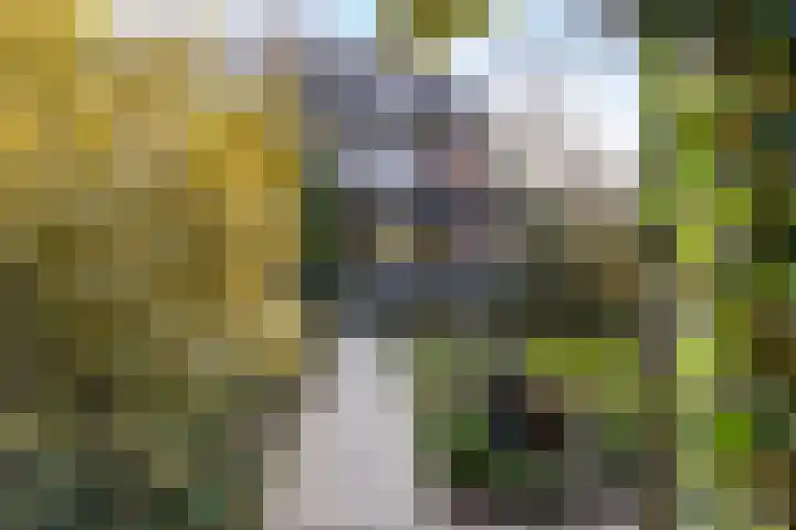 Laan van Cattenbroeck 74 Zeist thumbnail 37