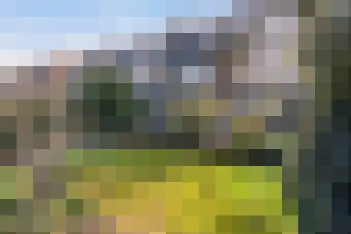 Laan van Cattenbroeck 74 Zeist thumbnail 38