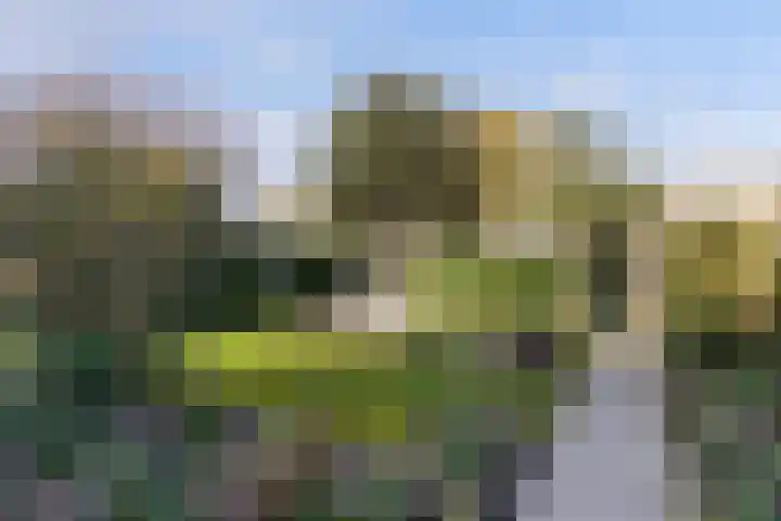 Laan van Cattenbroeck 74 Zeist thumbnail 39