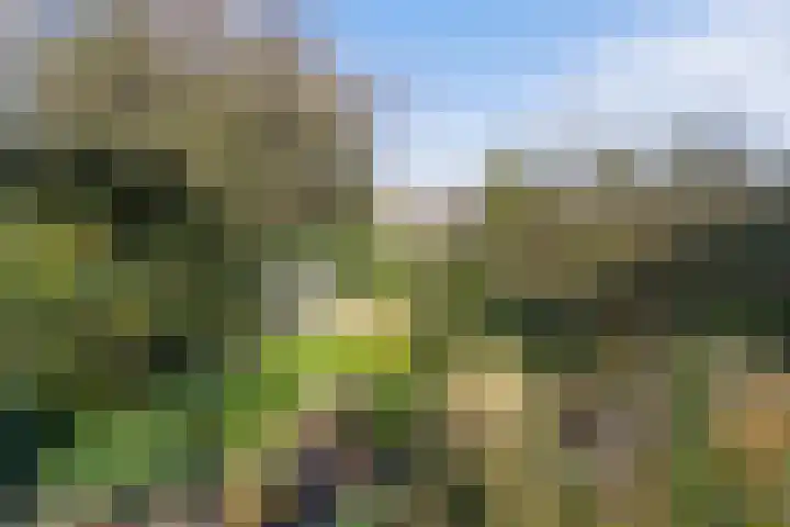 Laan van Cattenbroeck 74 Zeist thumbnail 40
