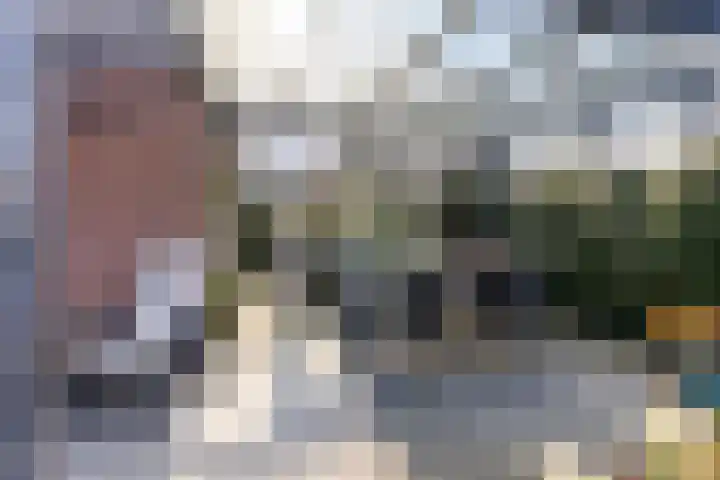 Laan van Cattenbroeck 74 Zeist thumbnail 41