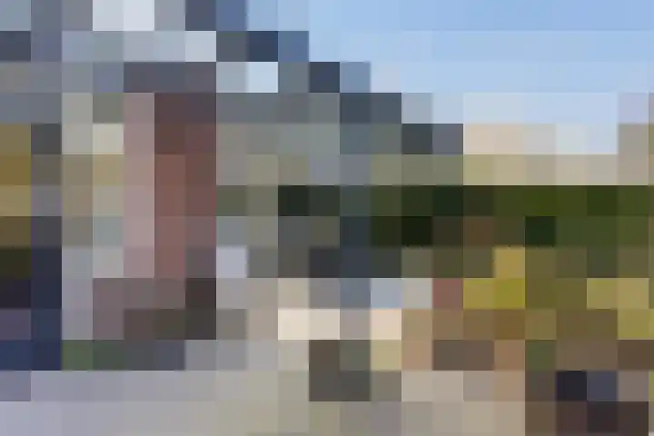 Laan van Cattenbroeck 74 Zeist thumbnail 42