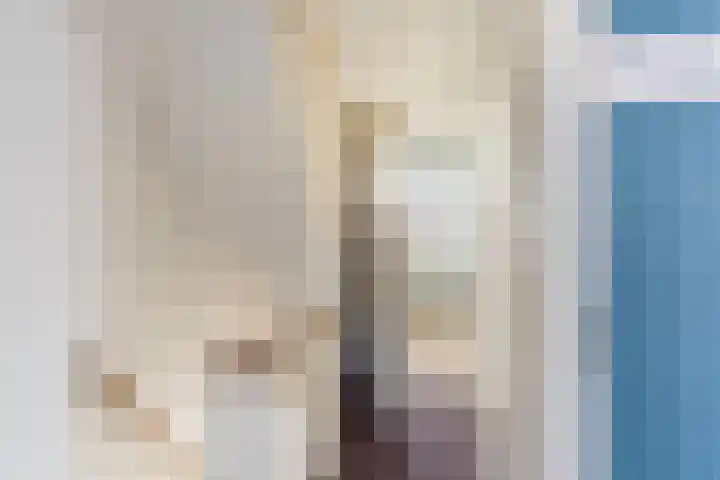 Laan van Cattenbroeck 74 Zeist thumbnail 44