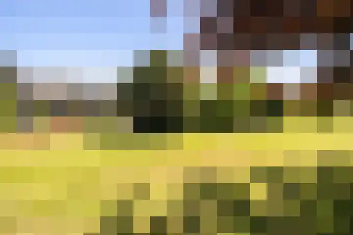 Laan van Cattenbroeck 74 Zeist thumbnail 65