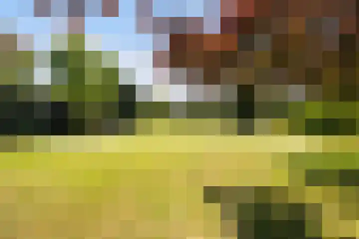 Laan van Cattenbroeck 74 Zeist thumbnail 66
