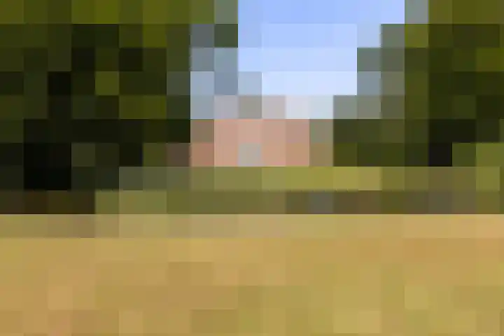 Laan van Cattenbroeck 74 Zeist thumbnail 67