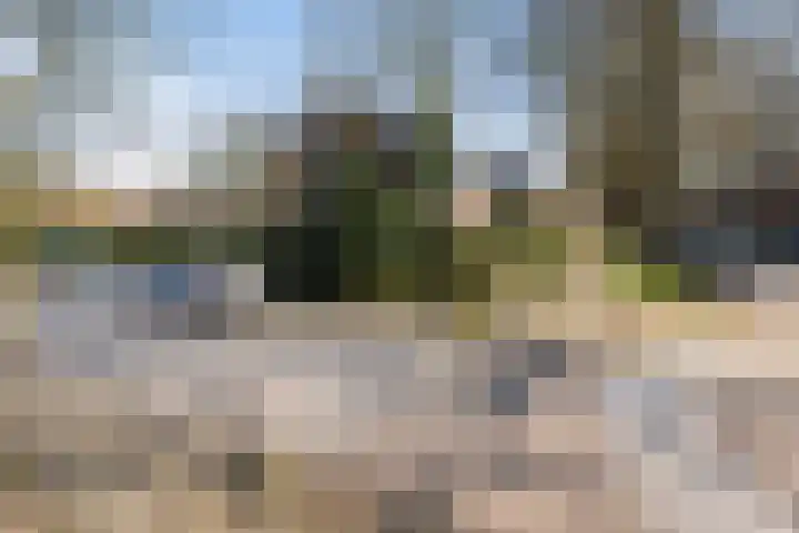 Laan van Cattenbroeck 74 Zeist thumbnail 7