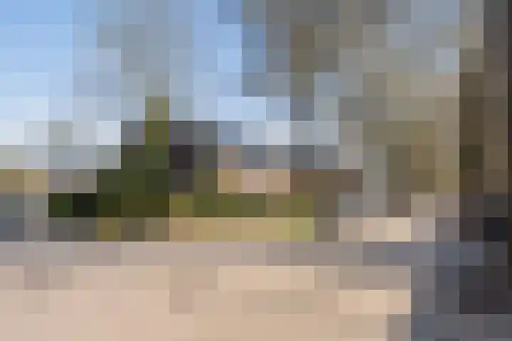 Laan van Cattenbroeck 74 Zeist thumbnail 8