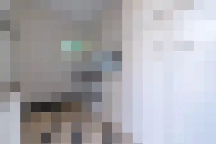 Laan van Cattenbroeck 8 Zeist thumbnail 10