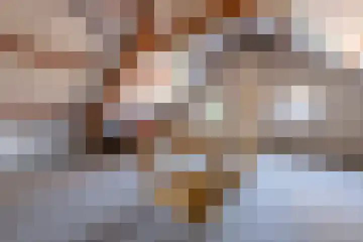 Laan van Cattenbroeck 8 Zeist thumbnail 20