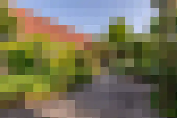 Laan van Cattenbroeck 8 Zeist thumbnail 21
