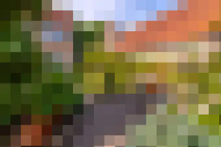 Laan van Cattenbroeck 8 Zeist thumbnail 22
