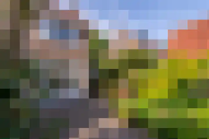 Laan van Cattenbroeck 8 Zeist thumbnail 23