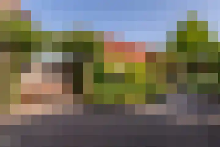 Laan van Cattenbroeck 8 Zeist thumbnail 24