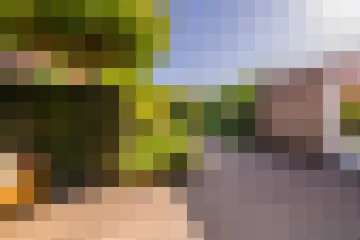 Laan van Cattenbroeck 8 Zeist thumbnail 25