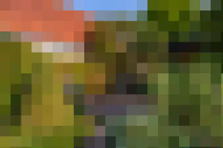 Laan van Cattenbroeck 8 Zeist thumbnail 26