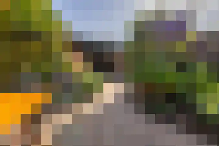 Laan van Cattenbroeck 8 Zeist thumbnail 27
