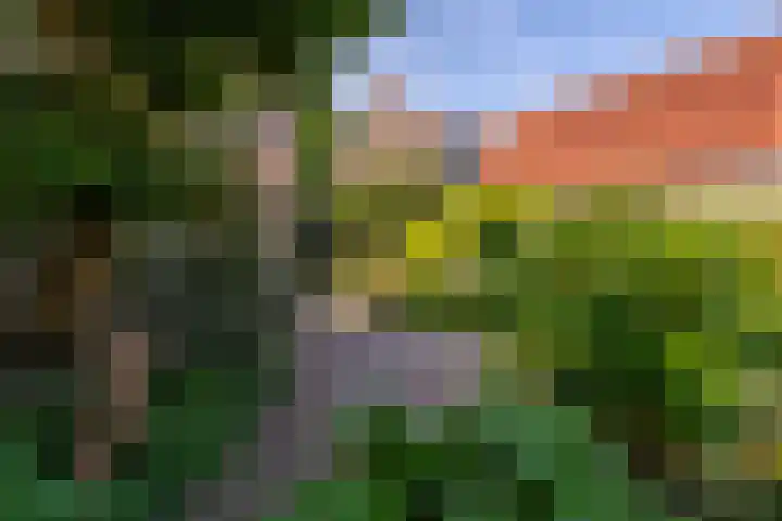 Laan van Cattenbroeck 8 Zeist thumbnail 28