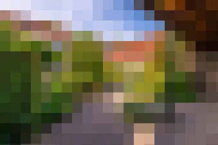 Laan van Cattenbroeck 8 Zeist thumbnail 29