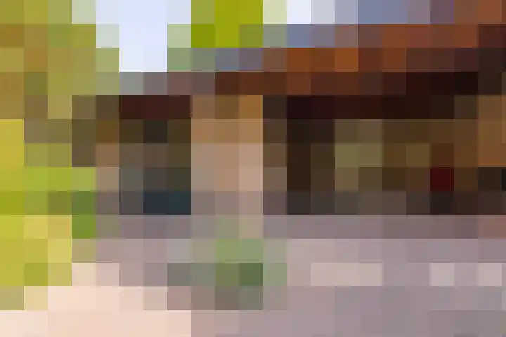 Laan van Cattenbroeck 8 Zeist thumbnail 30