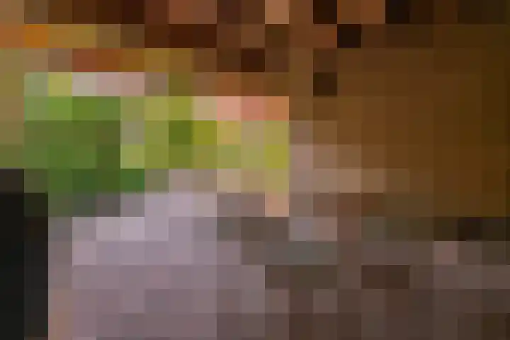 Laan van Cattenbroeck 8 Zeist thumbnail 32