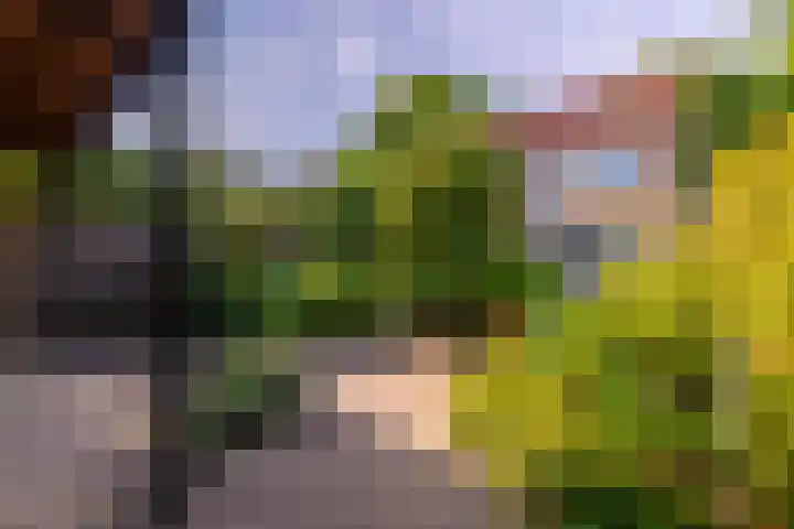 Laan van Cattenbroeck 8 Zeist thumbnail 33