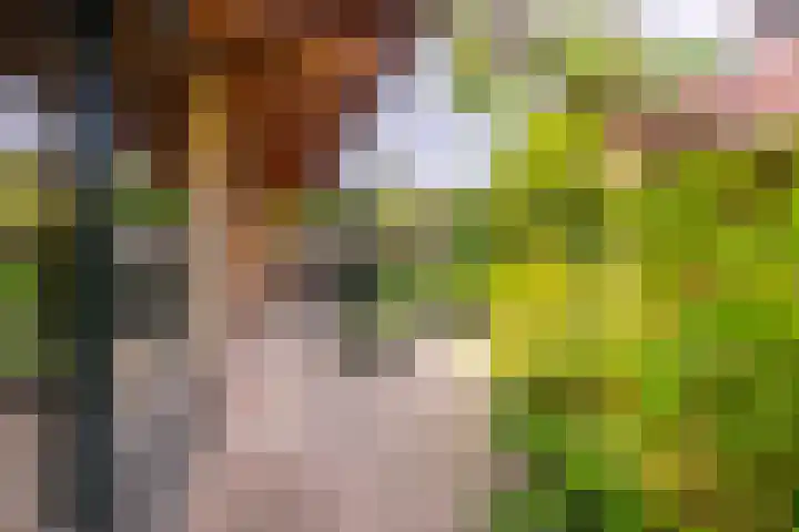 Laan van Cattenbroeck 8 Zeist thumbnail 34