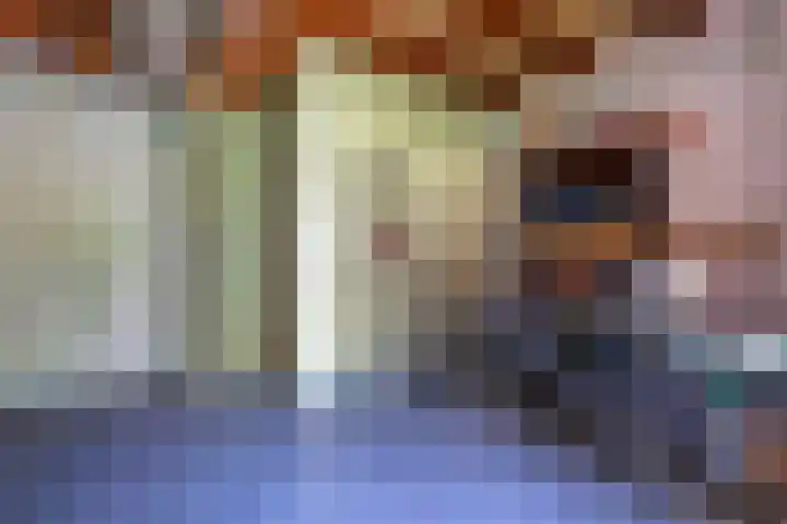 Laan van Cattenbroeck 8 Zeist thumbnail 35