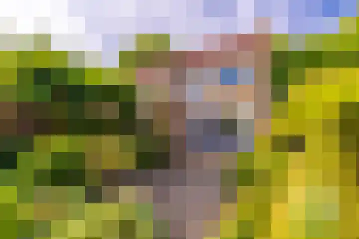 Laan van Cattenbroeck 8 Zeist thumbnail 37