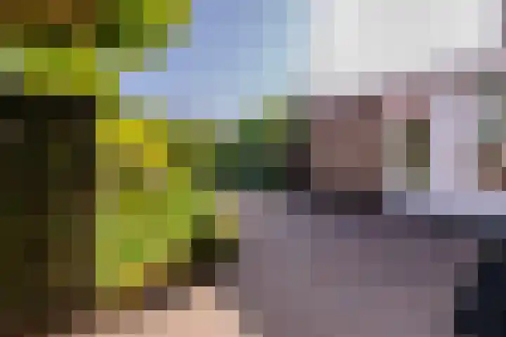 Laan van Cattenbroeck 8 Zeist thumbnail 38