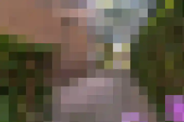 Laan van Cattenbroeck 8 Zeist thumbnail 40