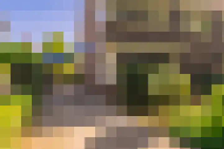 Laan van Cattenbroeck 8 Zeist thumbnail 41