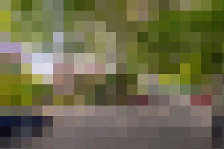 Laan van Cattenbroeck 8 Zeist thumbnail 43