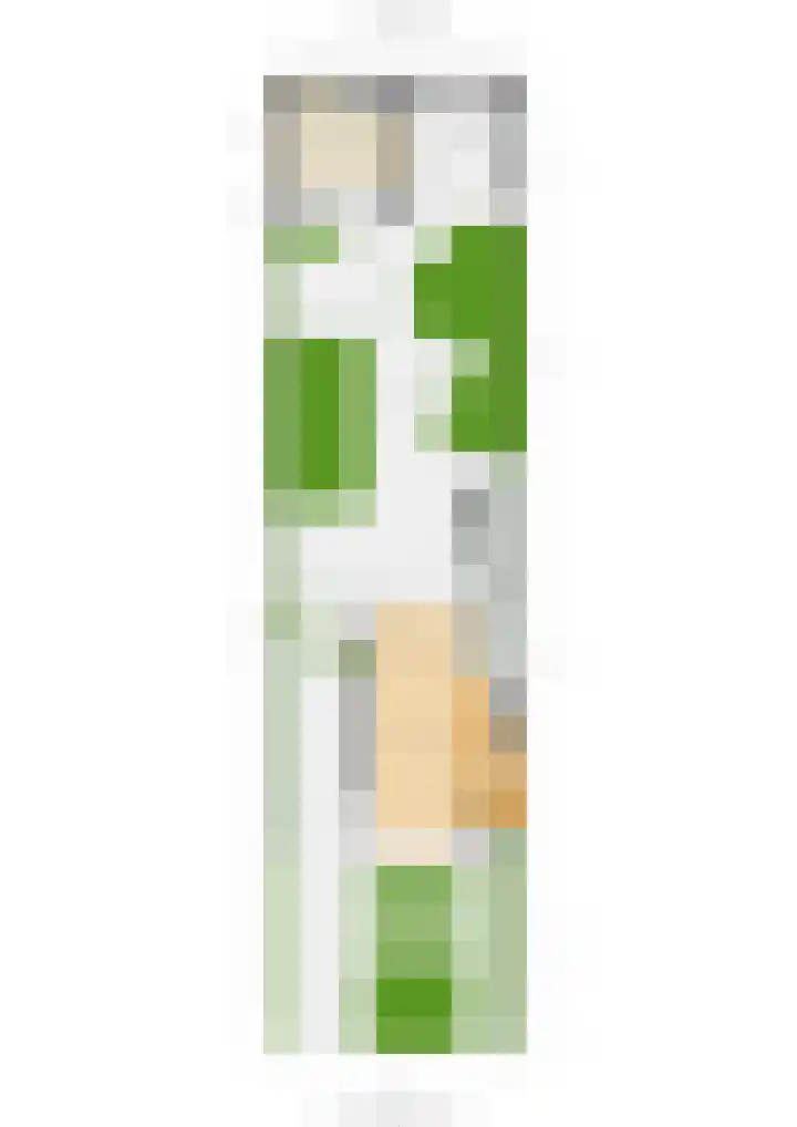 Laan van Cattenbroeck 8 Zeist thumbnail 44