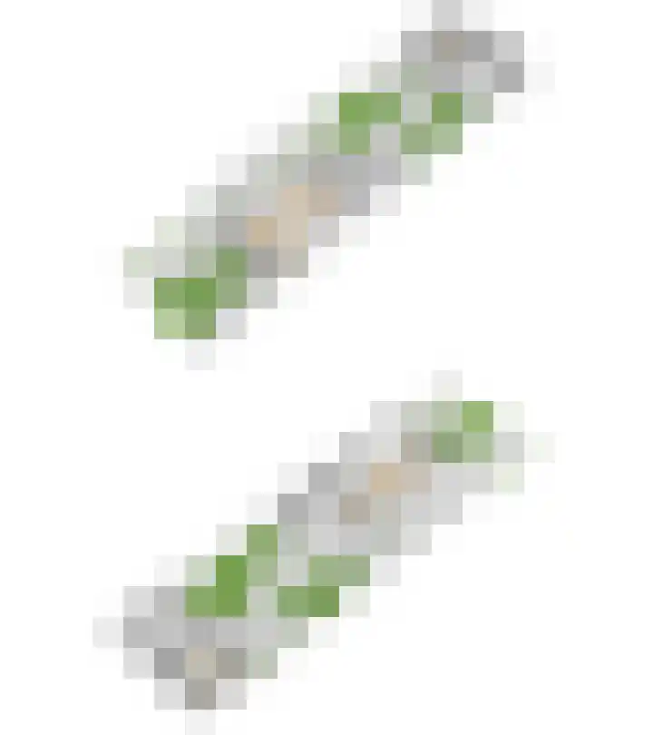 Laan van Cattenbroeck 8 Zeist thumbnail 50