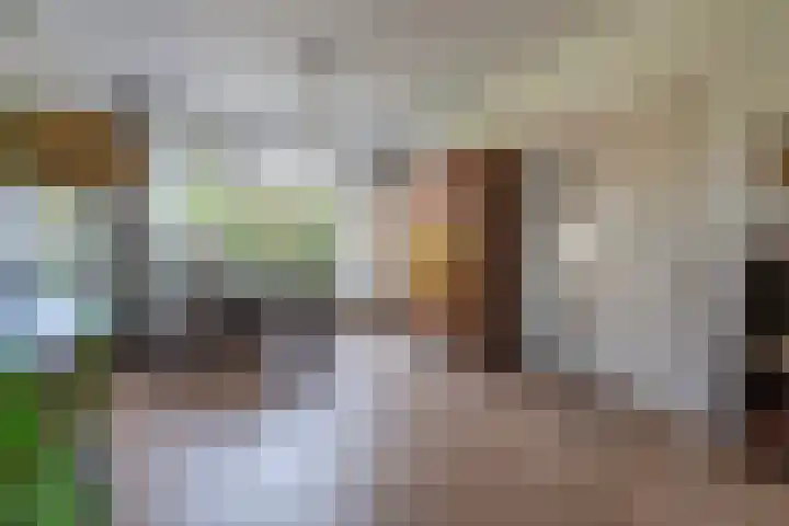 Laan van Cattenbroeck 8 Zeist thumbnail 6