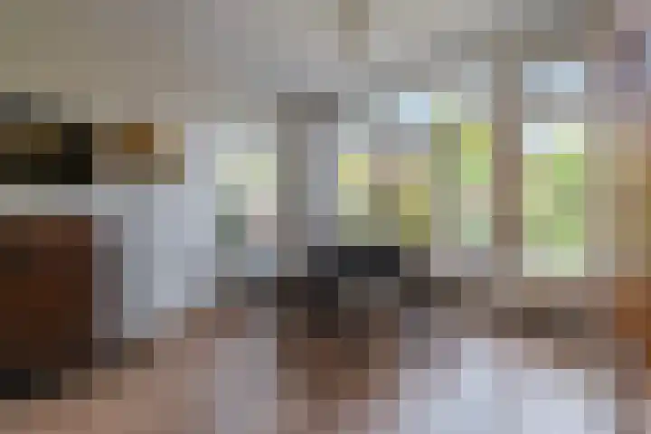 Laan van Cattenbroeck 8 Zeist thumbnail 8