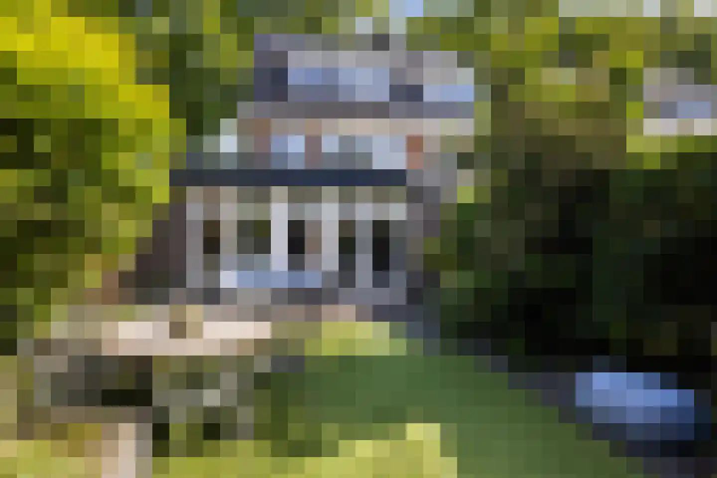 Laan van Cattenbroeck 83 Zeist thumbnail 19