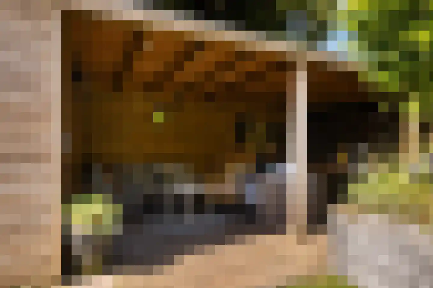 Laan van Cattenbroeck 83 Zeist thumbnail 22