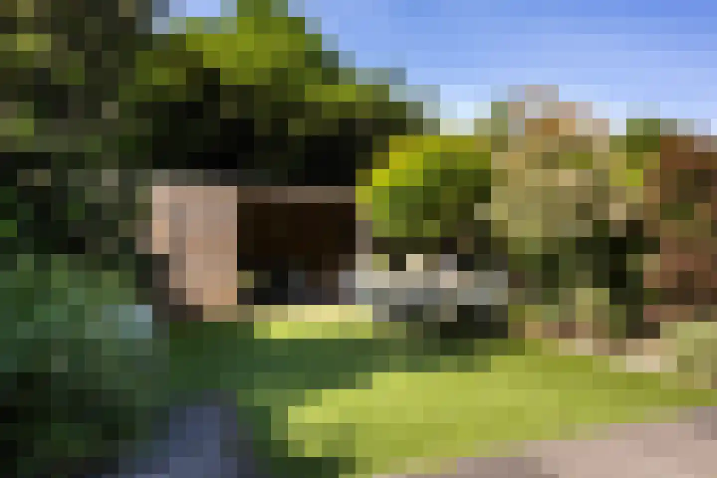 Laan van Cattenbroeck 83 Zeist thumbnail 24